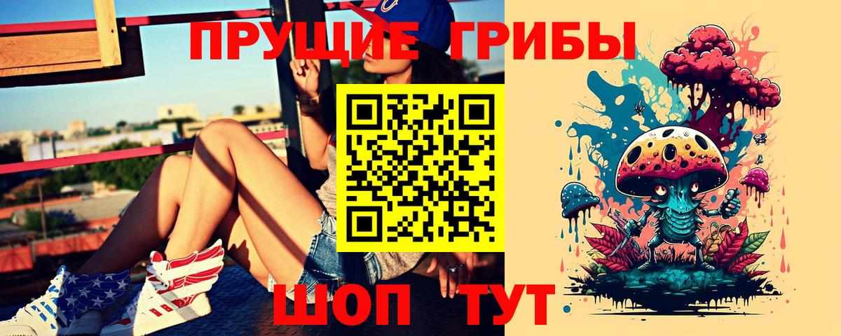 Галлюциногенные грибы прущие грибы  Вход с VPN  Гусев 